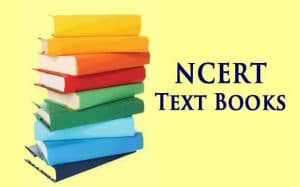 pile of NCERT text books